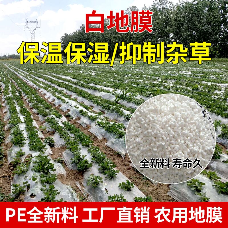 白色地膜保温保湿白地膜大棚塑料薄膜蔬菜种子过冬黑色农用工程膜