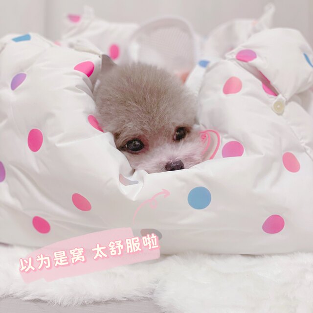 Arkika pet bag dog outing bag