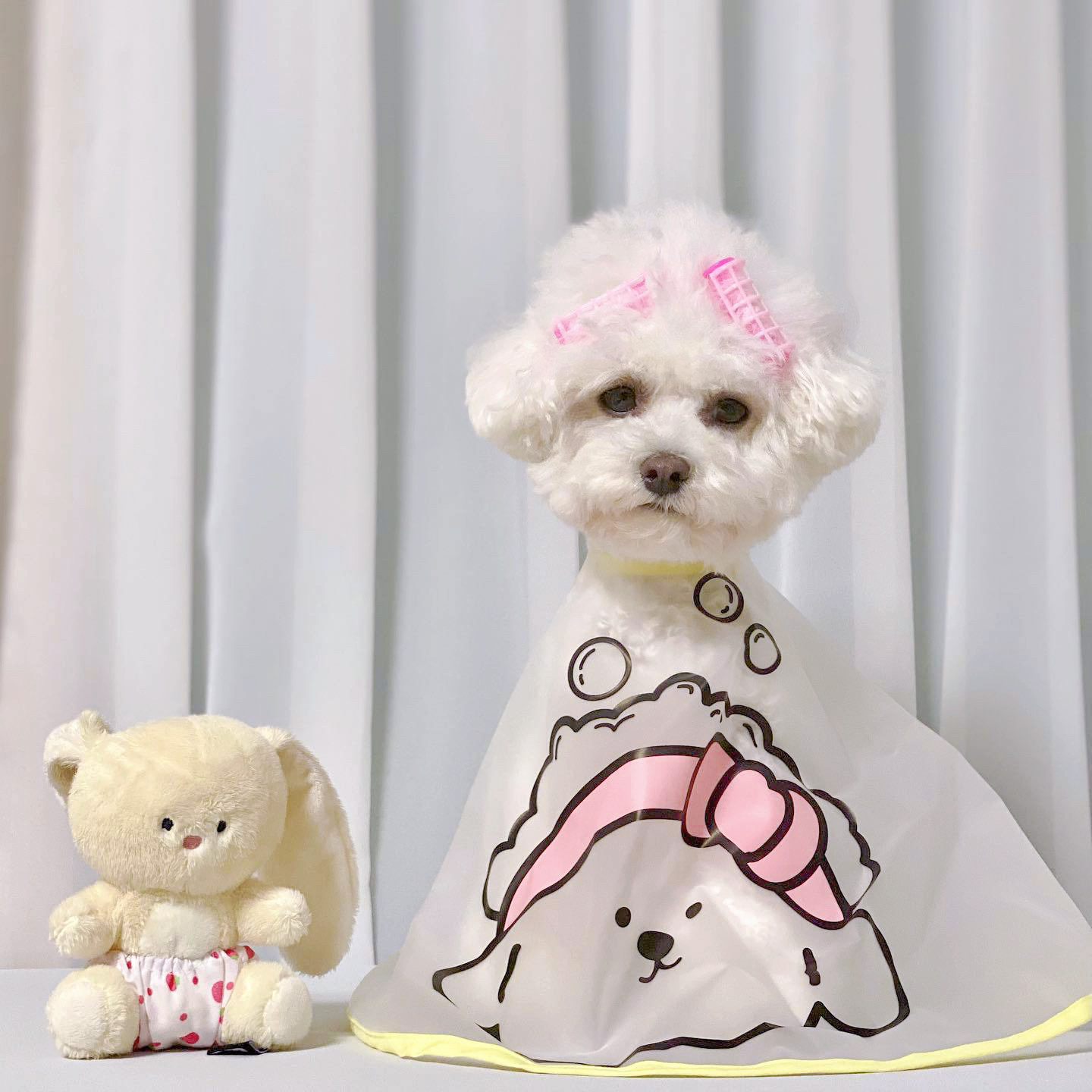 糯米家ins热款狗狗理发斗篷泪痕面部护理防水斗篷围布罩衣猫宠物,淘宝优惠券,粉丝福利购,淘宝优惠卷