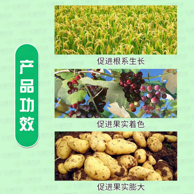 凯普克 德国康朴 海藻酸有机水溶肥果蔬着色膨大促生根氮磷叶面肥,淘宝优惠券,粉丝福利购,淘宝优惠卷