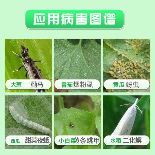 杜邦富美实倍内威 溴氰虫酰胺 黄瓜蓟马斑潜蝇甜菜夜蛾农药杀虫剂 - 图0