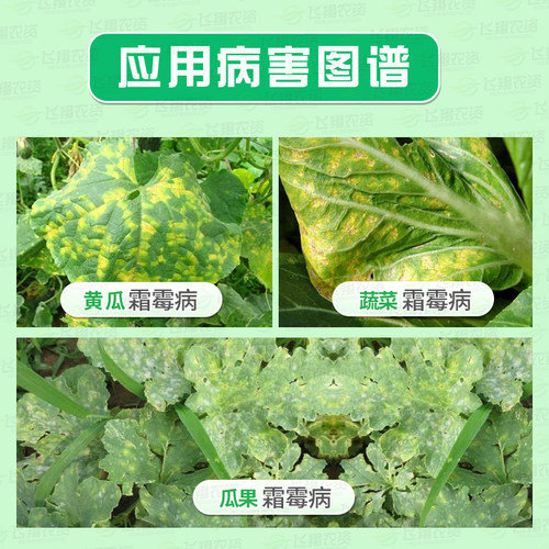 中化农化双工福玛代森锰锌氟吗啉黄瓜葡萄晚疫病霜霉病农药杀菌剂 - 图0