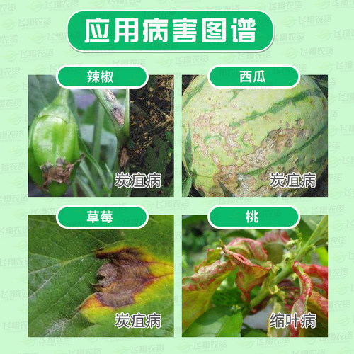 江西禾益博青 二氰蒽醌苹果西瓜辣椒炭疽黑星病黑痘病农药杀菌剂 - 图0