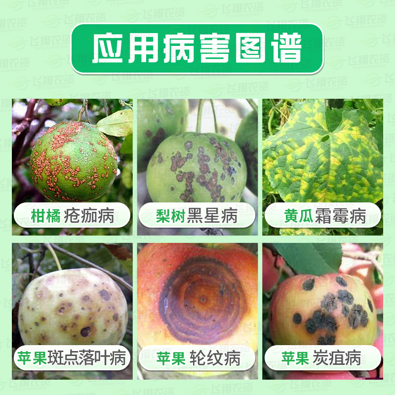 巴斯夫品润70%代森联霜霉病黑星炭疽斑点落叶轮纹病杀菌剂1000克 - 图0