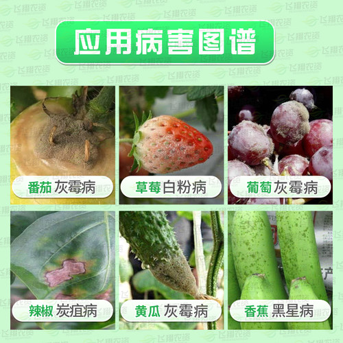 德国巴斯夫 健达农药杀菌剂草莓葡萄芒果西瓜黄瓜灰霉白粉病 8ml - 图0