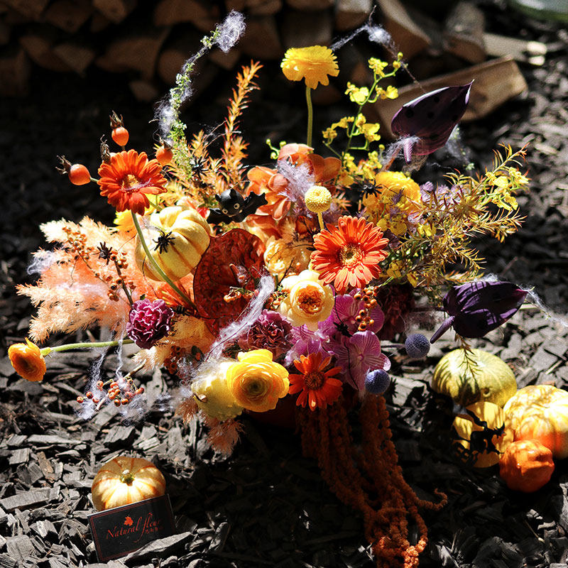 万圣节礼物文玩南瓜花盒花桶送女朋友 上海鲜花速递 花店同城配送