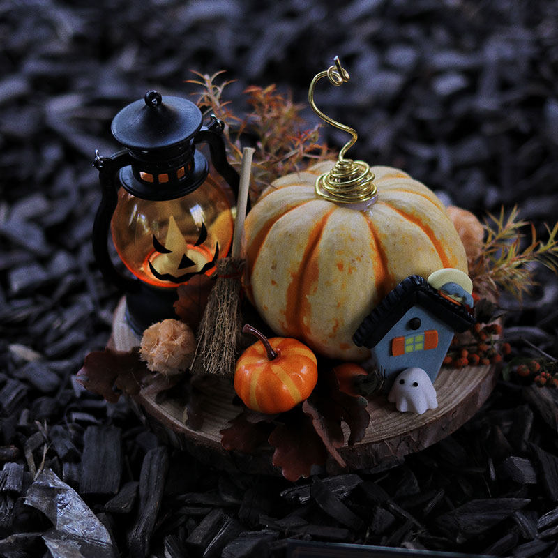 万圣节礼物文玩南瓜花盒花桶送女朋友 上海鲜花速递 花店同城配送