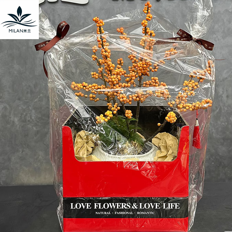 年宵花红果冬青盆栽手提盒蝴蝶兰新年鲜花包装盒折叠纸盒插花礼盒,淘宝优惠券,粉丝福利购,淘宝优惠卷