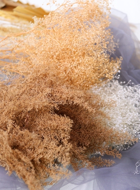 满天星干花梦幻草 霞草DIY材料 刺藜 荷兰干燥花建筑沙盘情景模型