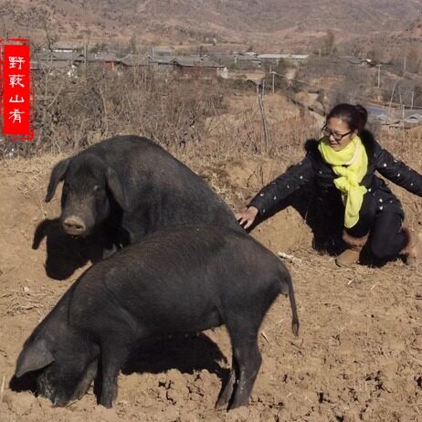腊排骨腊肉排骨咸排骨自制云南丽江特产非四川重庆非烟熏丽江风干 - 图3