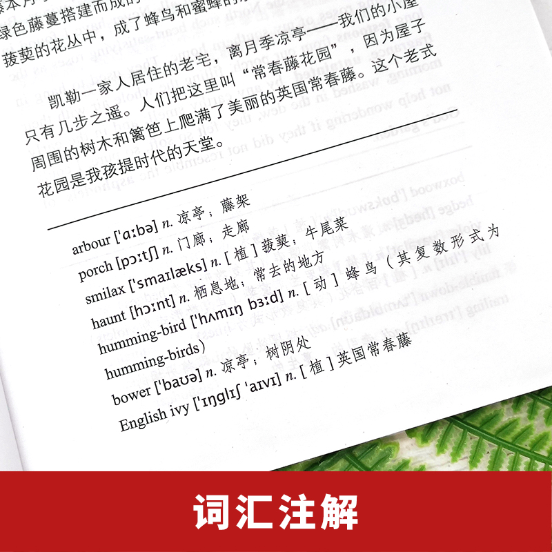 【全3册】英语读物书籍双语版小王子书正版老人与海给我三天光明英汉对照小王子英文版原版海明威海伦凯勒自传初中英语读物-图2