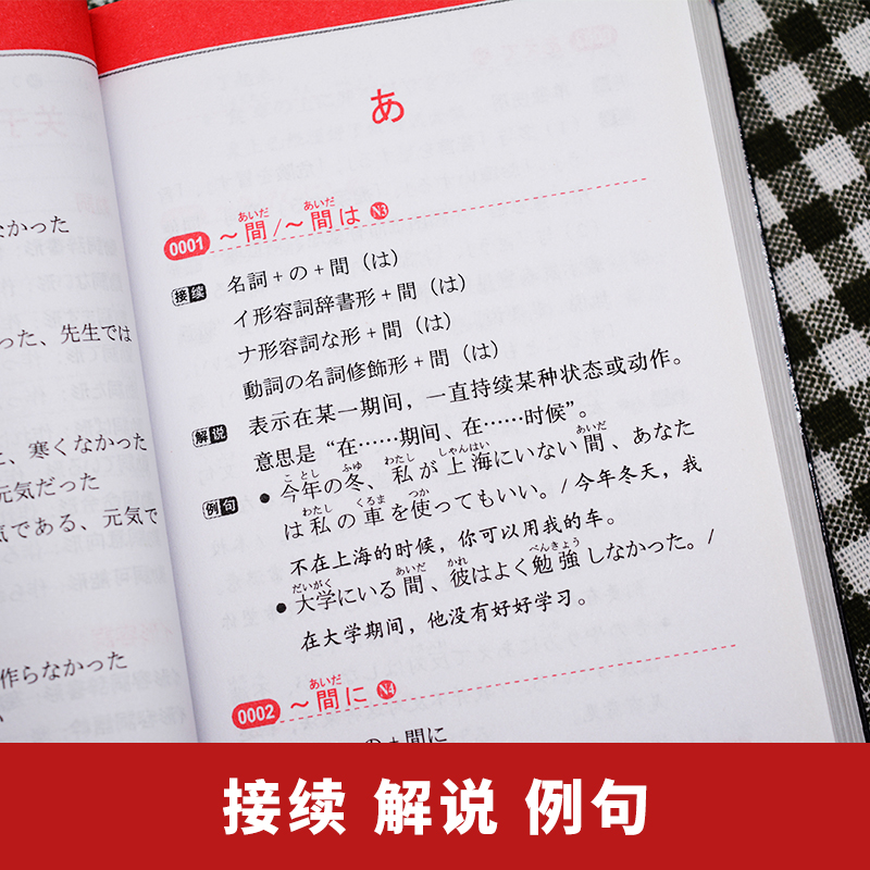 日语红蓝宝书n1-n5文法详解练习新标准日本语 N1-N5文字词汇日语能力考试日语单词语法书日语n1n2n3n4n5日语书籍入门教材真题-图0