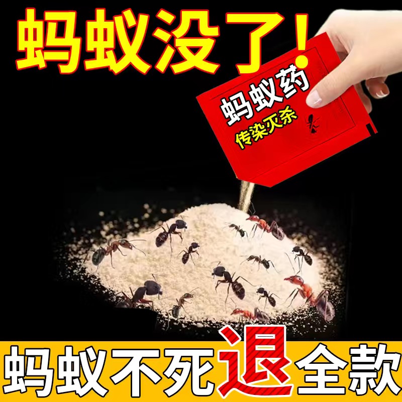 【杀不死包退】强效蚂蚁药粉家用厨房室内野外菜地强力灭蚁一窝端 - 图0