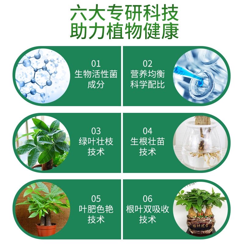 【急救】发财树营养液专用肥黄叶落叶一喷绿生根促发芽盆栽液体肥 - 图0