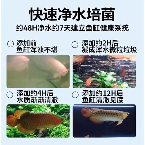 鱼缸净水片净化水质澄清清澈除臭去腥水族箱鱼池清水养鱼鱼缸专用 - 图1