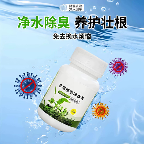 爆根】富贵竹专用净水片水培植物净水片防水发臭黄叶促生根营养液 - 图0