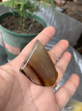 缅甸树化玉手把件高4.5/宽4.5/厚2厘米