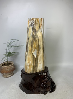 缅甸树化玉摆件总高54/高45/宽19/厚15厘米净重24.7斤