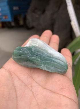 缅甸树化玉手把件高5.5/宽3.5/厚2.5厘米