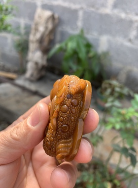 缅甸树化玉手把件，挂件“鸡油黄色”高5/宽3/厚2厘米