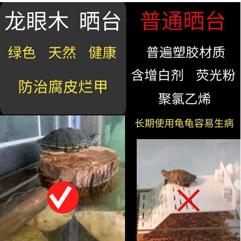 养乌龟专用缸龙眼木晒台爬坡躲避窝净化水质水草绿植造景摆件用品 - 图2