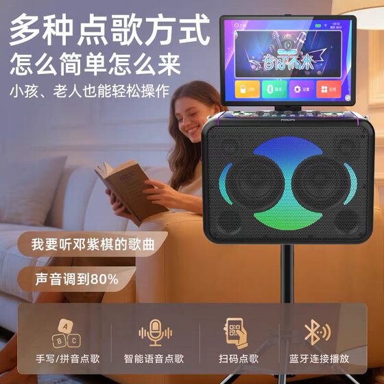 飞利浦SD211音响功放一体机户外家庭KTV套装卡拉OK唱歌K歌音箱