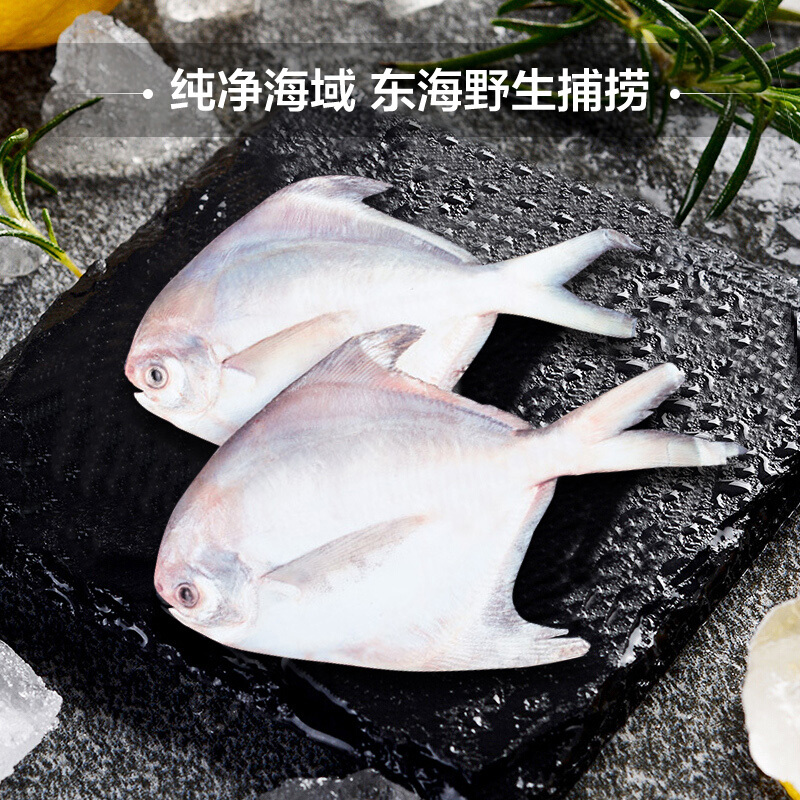 三都港东海银鲳鱼450g*2盒(6条) 平鱼深海鲜水产出口品质冷链配送 - 图0