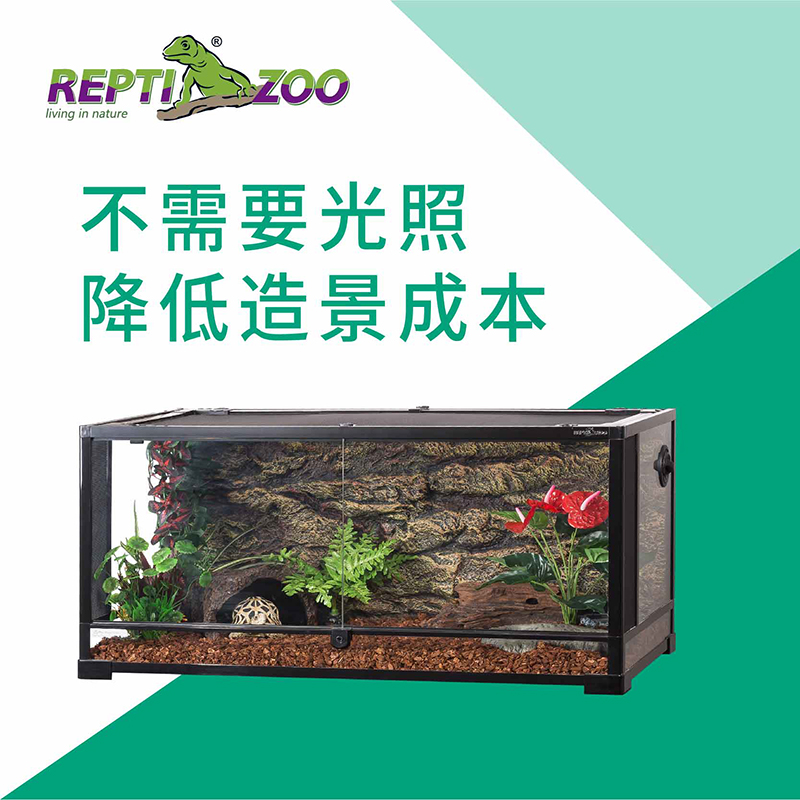 Reptizoo爬虫饲养箱造景仿真植物造景鱼缸龟缸蛇缸装饰藤蔓-图2