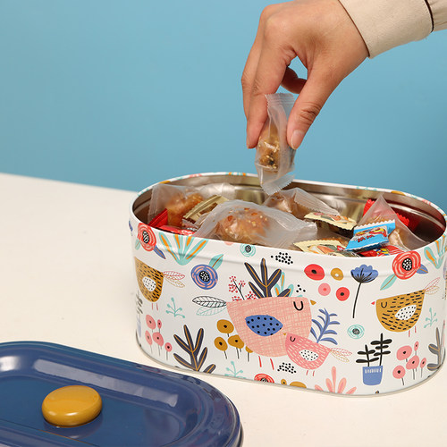 桌面收纳盒客厅茶几办公室零食饼干糖果储物箱精致盒子小铁盒带盖 - 图2