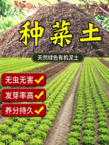 Balcony species of vegetable special earth 100 catty kilo garden earth soil seed flower vegetables nutritious earth nourishing flower universal soil fattening