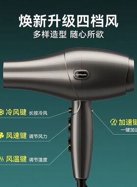 火之凤吹风机6600H发廊专用理发店大功率超静音吹干造型两用风筒
