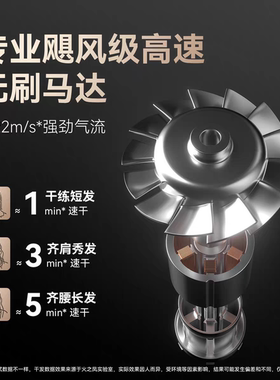 火之凤吹风机M3理发店发型师发廊专用大功率负离子家用高速电吹风