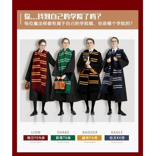 Harry Potter costume authentic magic robe adult