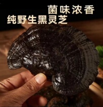 Deep Pure Natural Wild Lucid Lucid (Yunnan Black Lucid Lucid) wild dried goods Lucid Lucid and Herbal Medicine Slices of Pot Soup