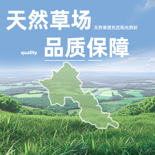 2025提摩西草干草兔子粮草食用兔粮饲料豚鼠荷兰猪的提莫晒干牧草 - 图1