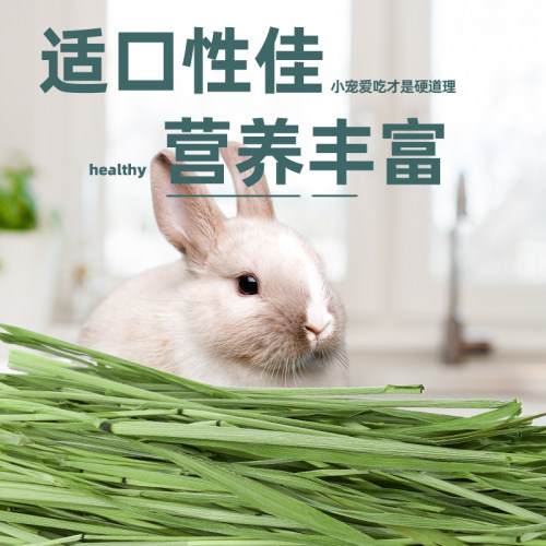 2025提摩西草干草兔子粮草食用兔粮饲料豚鼠荷兰猪的提莫晒干牧草 - 图0