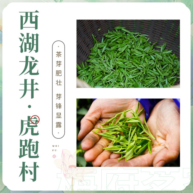 虎跑西湖龙井茶250克梅府茗家老茶树绿茶明前特级春茶2024年新茶