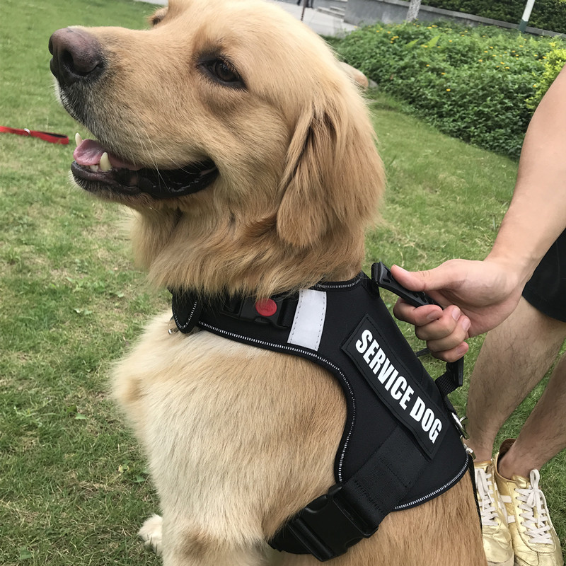 Petopt胸背带狗狗防爆冲胸背中大型狗金毛边牧柯基