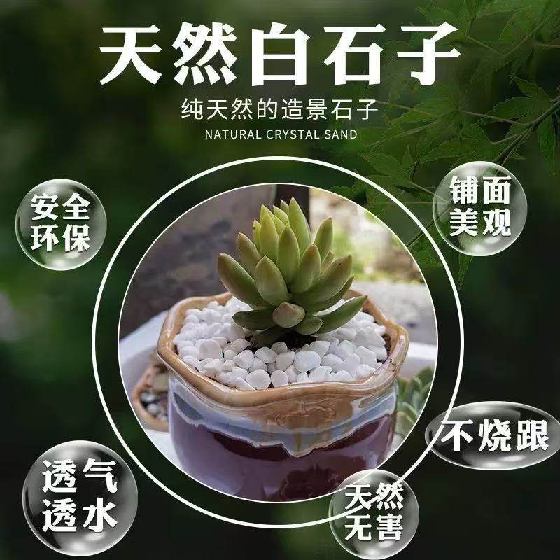 小白石子庭院造景鱼缸鹅卵石原石天然颗粒养花多肉盆栽装饰铺面石,淘宝优惠券,粉丝福利购,淘宝优惠卷