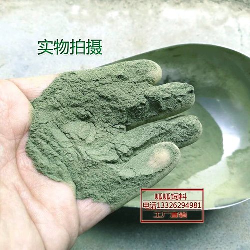 Морские водоросли кожа кожа плюшевые