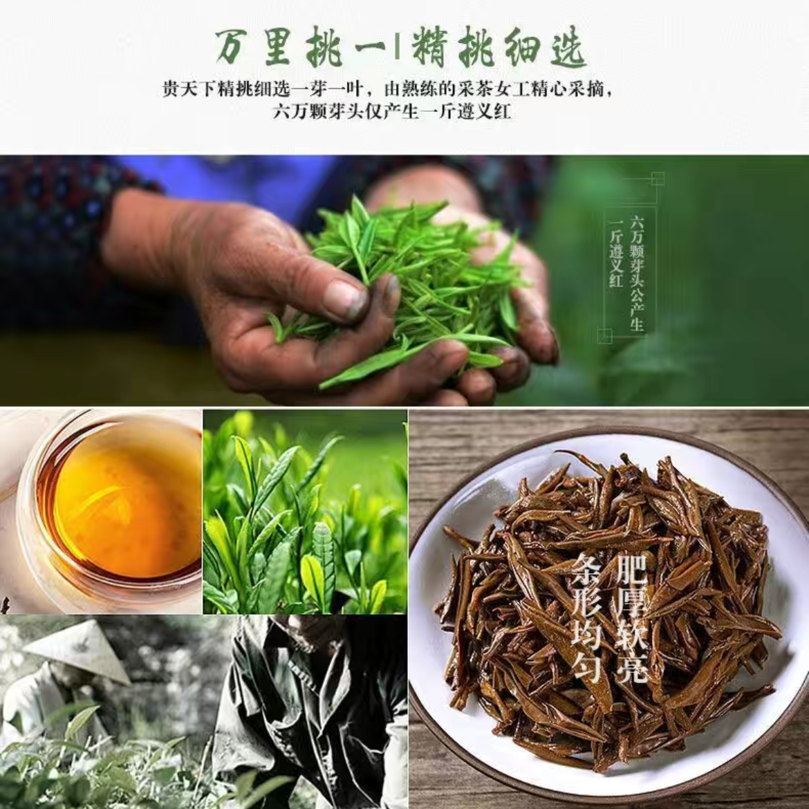 遵义红茶2022年新茶贵州湄潭高山红茶盒装产地直发浓香型茶叶春茶