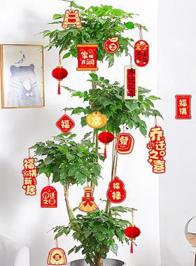 JOJO'SLIFEPD装饰小灯笼福挂饰