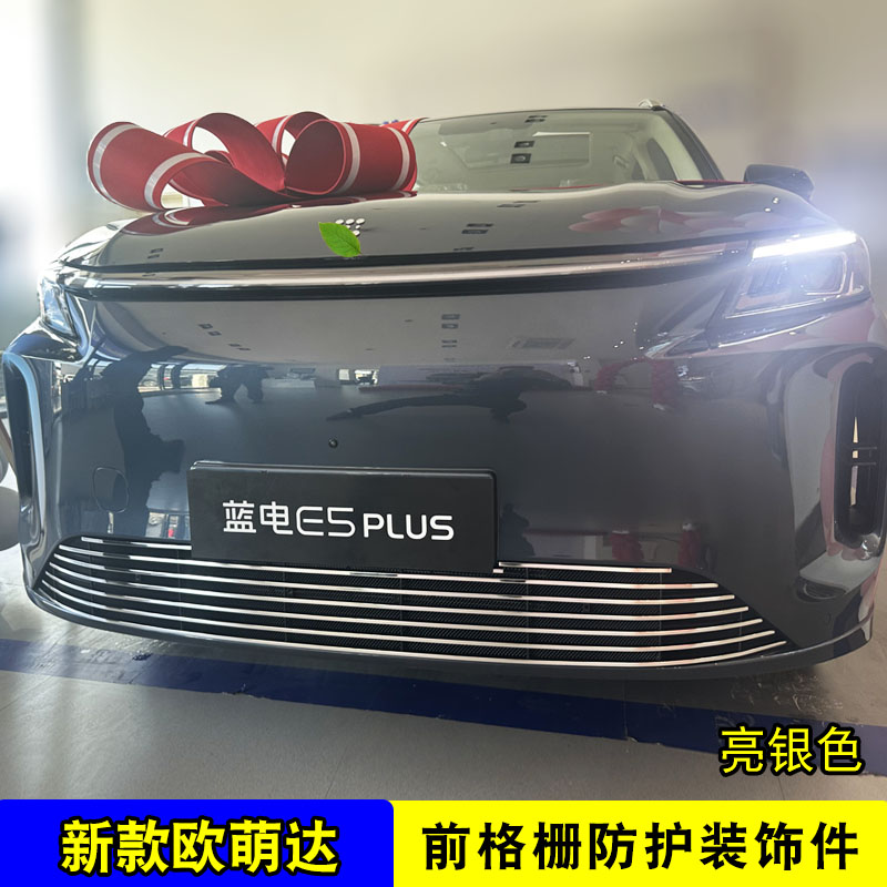 蓝电E5plus中网外观改装防虫网前格栅专用防护网装饰汽车用品配件