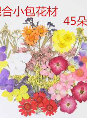 干花标本材料儿童手工diy彩妆