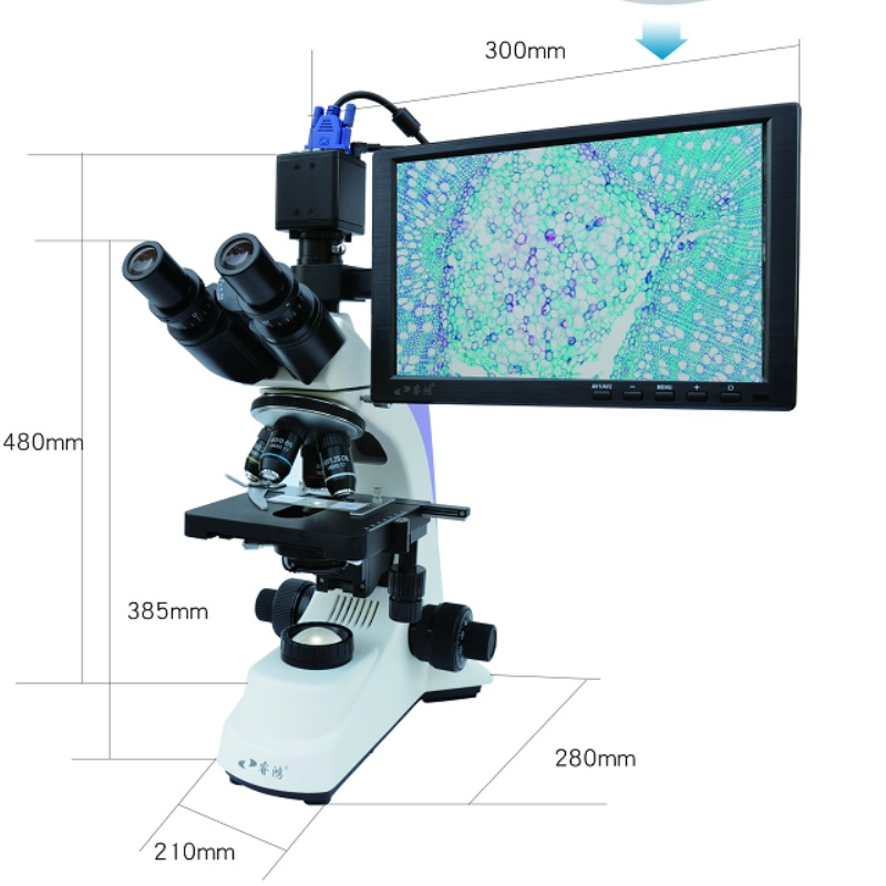 专业双目显微镜光学BM-500T高倍科研显示屏生物粉末颗粒测量细菌微生物睿鸿-图0