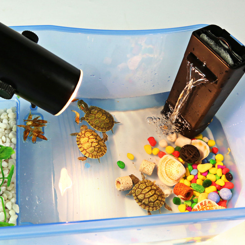 乌龟小乌龟缸带晒台水龟养龟的专用缸鱼缸养乌