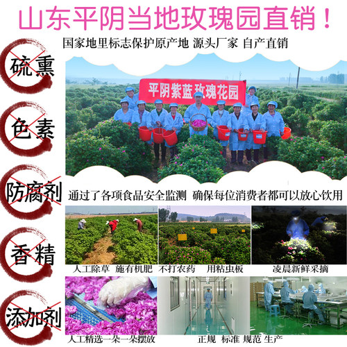 花冠王大朵平阴玫瑰半开新鲜无硫重瓣玫瑰花茶紫蓝花园泡水喝干花 - 图2