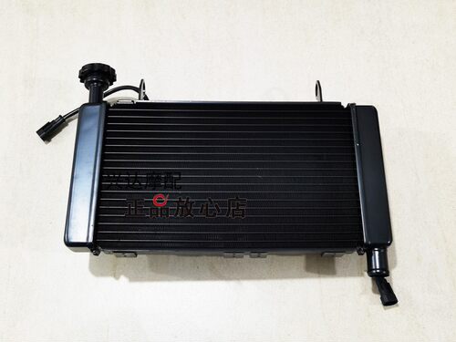 正品QJ600GS-3B赛600追600仿赛摩托车水箱总成冷却水箱散热器 - 图1