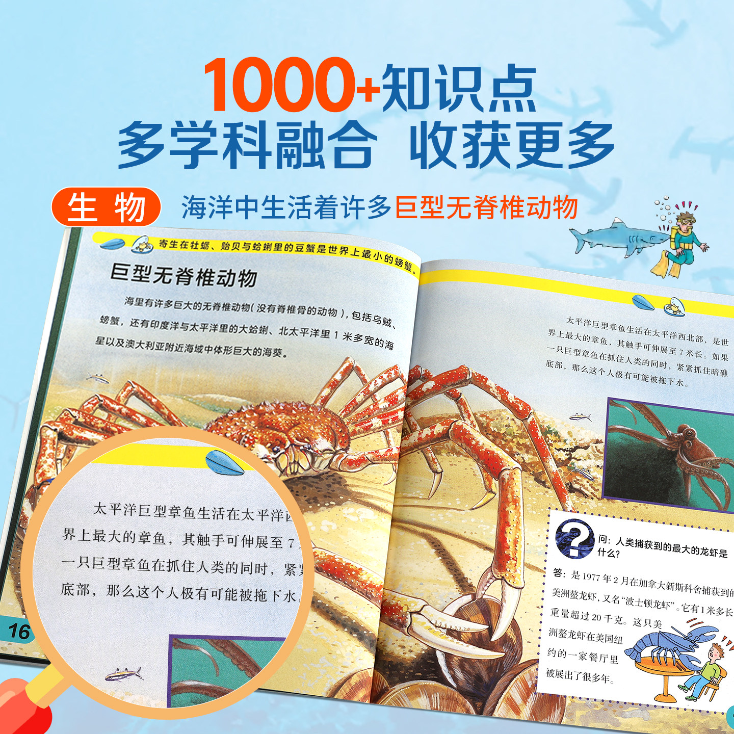 全套4册【1000+科普知识多学科融合】海洋生命百科全书全套4册儿童6-12岁小学生年级课外阅读科普书籍海底世界极地生物大百科读物