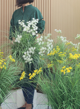 西西里植物花艺样板间民宿装饰
